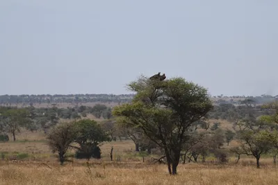 DSC_4003 (Large).JPG